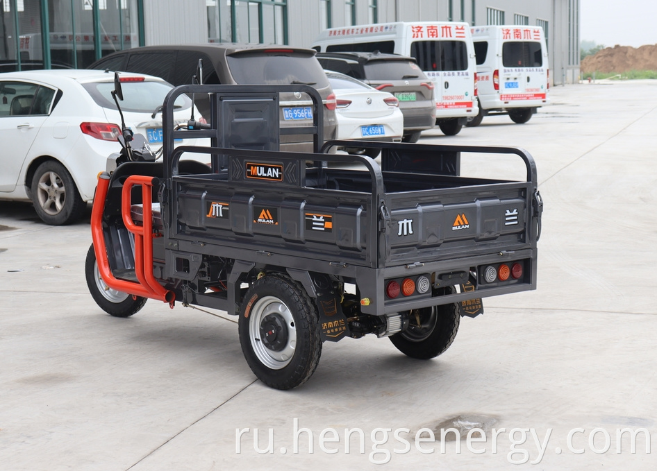 Cargo Electric Tricycle